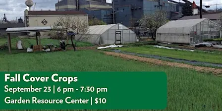Fall Cover Crops