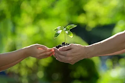 Interwoven: Growing Good Together: A Community Garden Volunteer Day