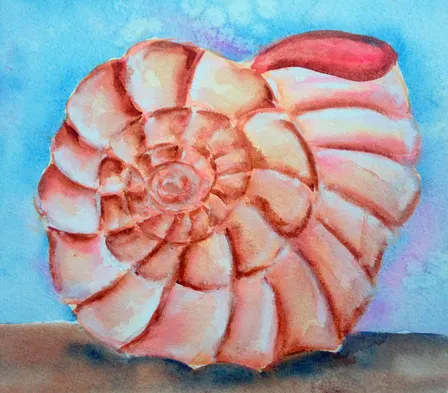 Watercolor Shell Close Ups