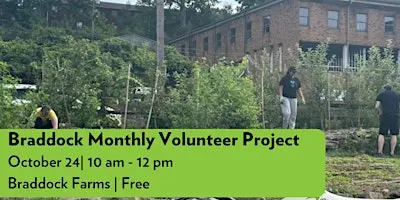 Braddock Monthly Volunteer Project