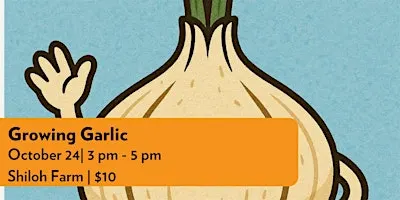 Growing Garlic