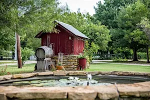 Through the Lens: A Morning at the Farm