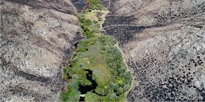 Homeschool Day: Wildfire in Idaho 12-1pm