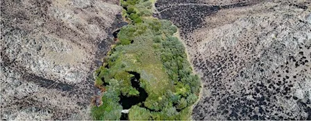 Homeschool Day: Wildfire in Idaho 1:00-2:00pm