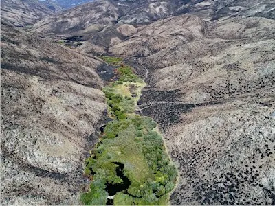Homeschool Day: Wildfire in Idaho 10-11am