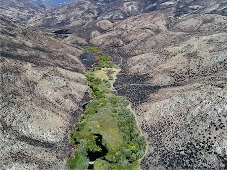 Homeschool Day: Wildfire in Idaho 12-1pm