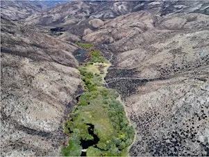 Homeschool Day: Wildfire in Idaho 10-11am