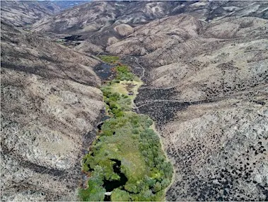 Homeschool Day: Wildfire in Idaho 10-11am