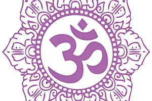 Raja Yoga Fridays (Traditional-style yoga)