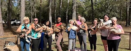 Baby Goat Yoga