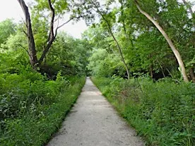 A Walk of Noticing — Nature, Pattern, Perception, Belonging