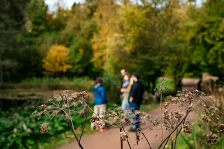 Gestion écologique d'un jardin vivant