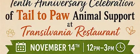 Tail to Paw Animal Support 10th Anniversary Celebration