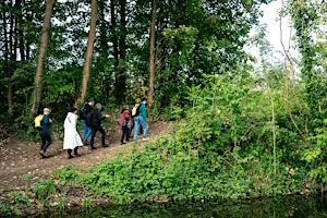 Et si la forêt de Soignes que vous croyez connaître avait encore mille secrets à révéler ?