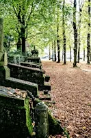 Un cimetière plein de vie ! / Een begraafplaats vol leven !