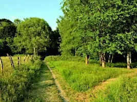 Wandeling door de velden van Neerpede