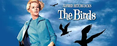 The Birds - Cult Classics