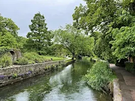 Riverside guided tree walk