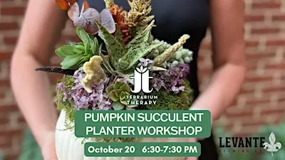 Pumpkin Succulent Planter Workshop at Levante Brewing Co