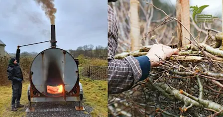 Hedge Laying & Charcoal Making Course | Cwrs Gosod Gwrychoedd a Gwneud Siar