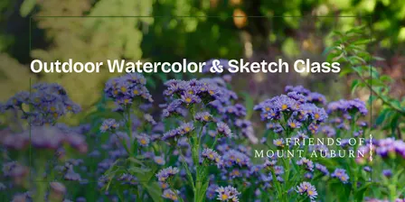 Outdoor Watercolor & Sketch Class