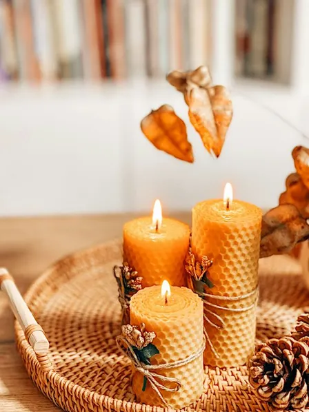 Thanksgiving Beeswax Bundle