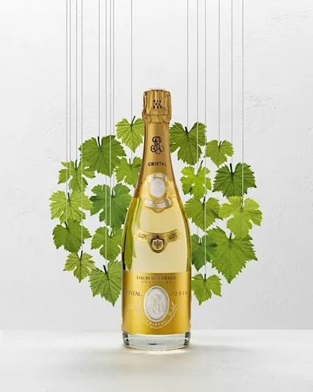 Louis Roederer Champagne Tasting
