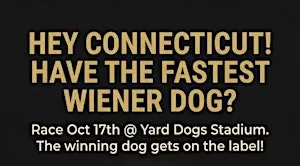 1st Annual Fastest Wiener Dog Race in Connecticut