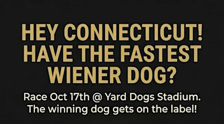 1st Annual Fastest Wiener Dog Race in Connecticut
