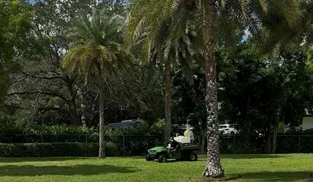 LCLM CERTIFICATION EN ESPANOL. (Limited Commercial Landscape Maintenance)