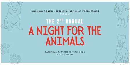 A Night For The Animals