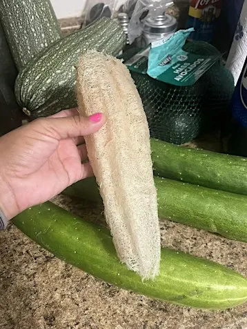 Loofah Harvest and Seed Saving Party