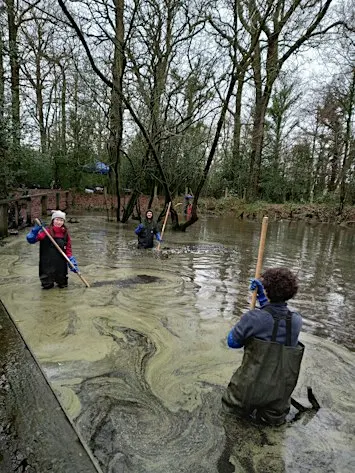 Woodland Green Skills: Pond Management at Hatchett's Wood, Manchester