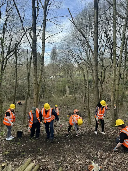 Woodland Green Skills: Woodland Management at Hatchett's Wood, Manchester