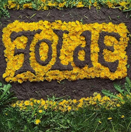 FOLDE