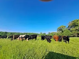 Farm School: Homeschool and Family-Friendly Educational Series