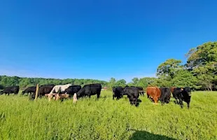 Farm School: Homeschool and Family-Friendly Educational Series