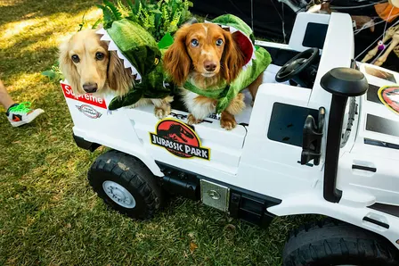 Barktoberfest