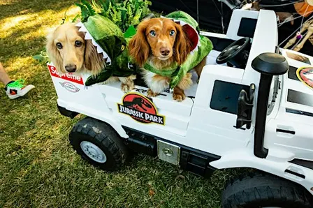 Barktoberfest