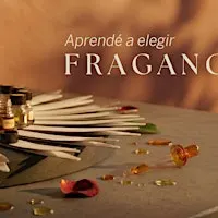 Aprendé a elegir fragancias en Casa Prefumo
