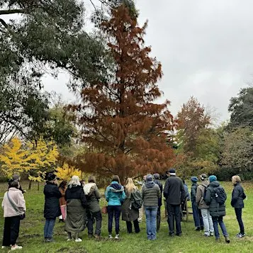 Guided Tree Walk:  Cannizaro Park's Diverse Tree Collection