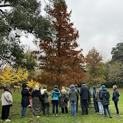 Guided Tree Walk: Cannizaro Park's Diverse Tree Collection