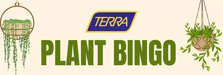 Halloween Plant Bingo at Terra Greenhouses