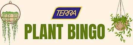 Christmas Plant Bingo at Terra Greenhouses