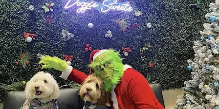 Pictures with the Grinch