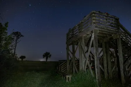 Members-Only: New Moon Hike
