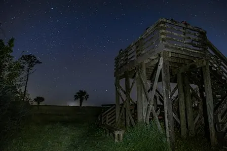 Members-Only: New Moon Hike