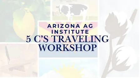 AAI 5 C's Traveling Teacher Workshop