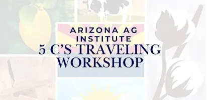 AAI 5 C's Traveling Teacher Workshop