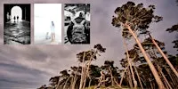 Ausdrucksstark fotografieren - 7 praxisnahe Wege zum eigenen Bildstil